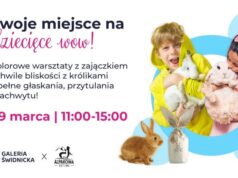 Niedziela pełna atrakcji w Galerii Świdnickiej: króliki i warsztaty dla najmłodszych