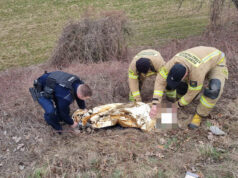 Odnaleziono zaginionego 75-latka. Mężczyzna trafił pod opiekę medyków