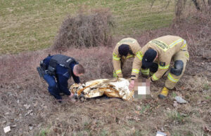 Odnaleziono zaginionego 75-latka. Mężczyzna trafił pod opiekę medyków