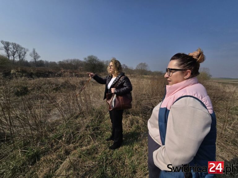 12 hektarów do zasypania? Mieszkańcy Przyłęgowa boją się wysypiska i zapowiadają protest [FOTO]