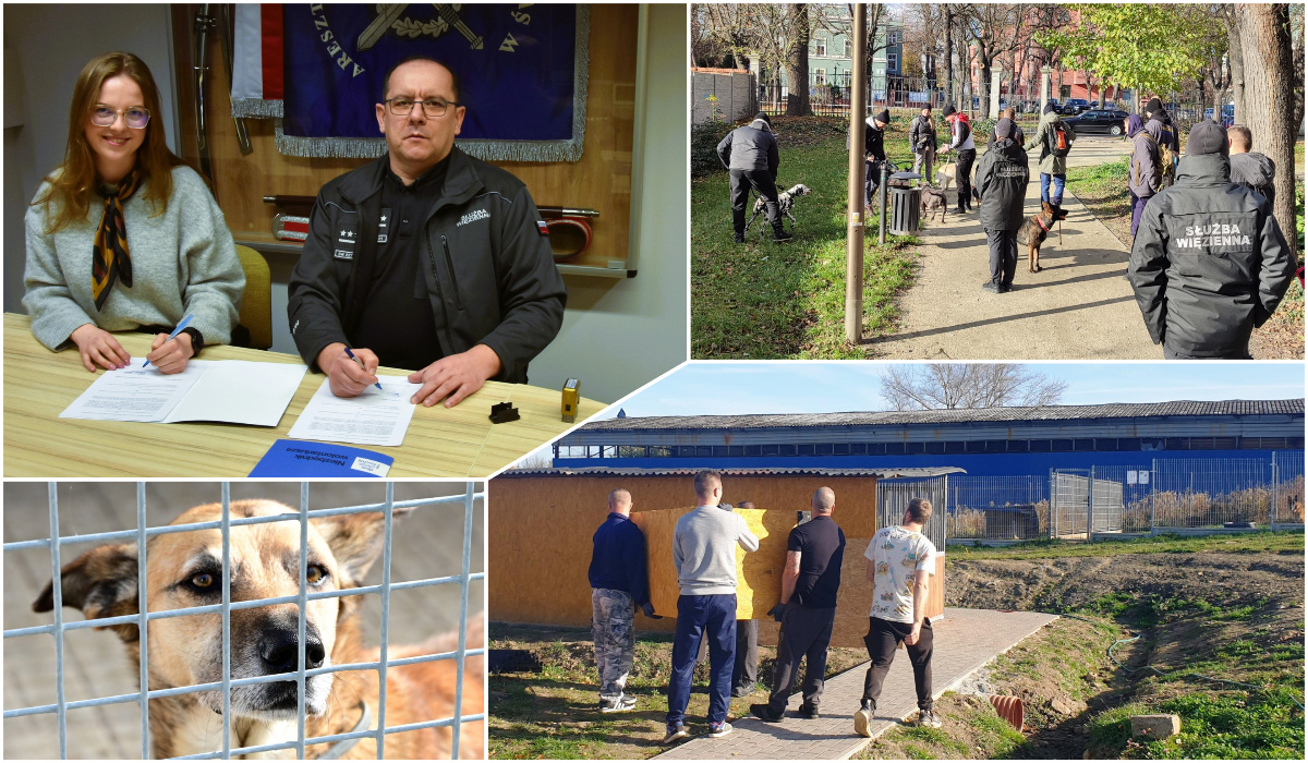 Skazańcy zadbają o schronisko dla bezdomnych zwierząt i jego podopiecznych [FOTO]