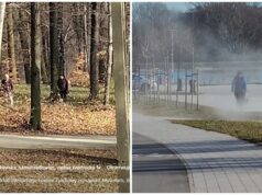 Dmuchawami odkurzają parki i chodniki. Farma Miejska pisze o korzyściach dla środowiska. Co na to ekspert?