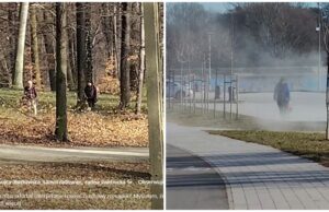 Dmuchawami odkurzają parki i chodniki. Farma Miejska pisze o korzyściach dla środowiska. Co na to ekspert?