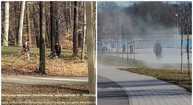 Dmuchawami odkurzają parki i chodniki. Farma Miejska pisze o korzyściach dla środowiska. Co na to ekspert?