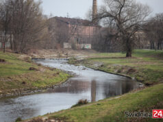 Świdnica zadba o brzegi Bystrzycy i Witoszówki? Na realizację prac ma trafić 200 tys. złotych