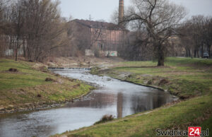 Świdnica zadba o brzegi Bystrzycy i Witoszówki? Na realizację prac ma trafić 200 tys. złotych