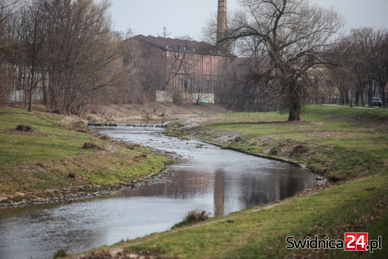 Świdnica zadba o brzegi Bystrzycy i Witoszówki? Na realizację prac ma trafić 200 tys. złotych