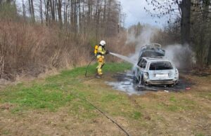 Zaprószenie? Podpalenie? Spłonęło auto przy linii kolejowej