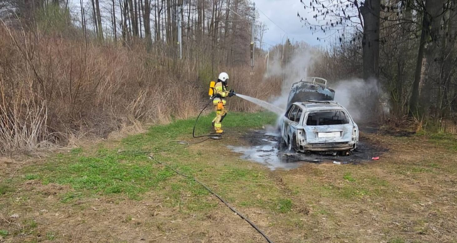 Zaprószenie? Podpalenie? Spłonęło auto przy linii kolejowej