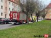 Służby interweniowali na Francuskiej w Świdnicy