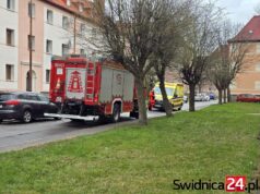 Służby interweniowali na Francuskiej w Świdnicy
