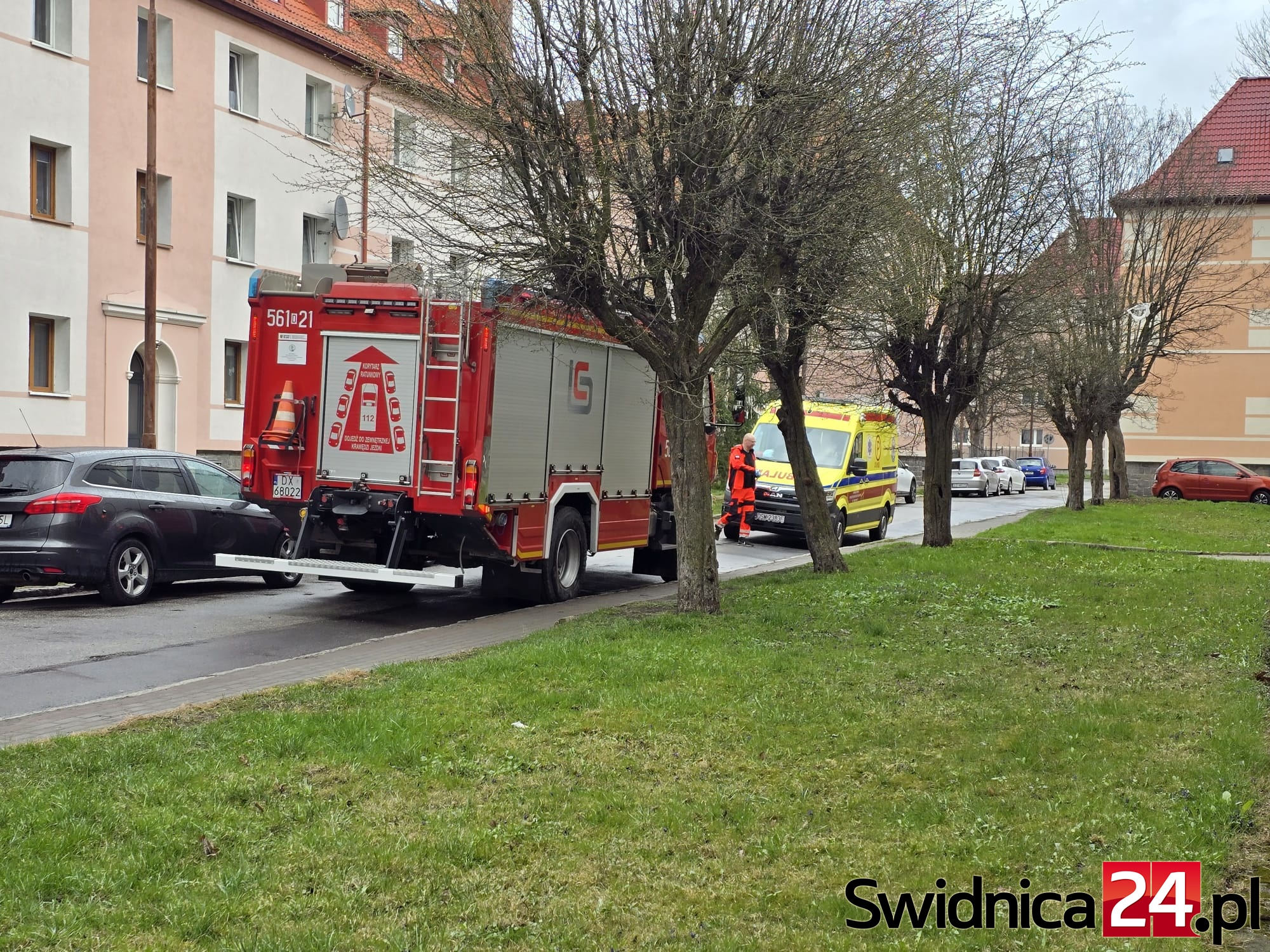 Służby interweniowali na Francuskiej w Świdnicy