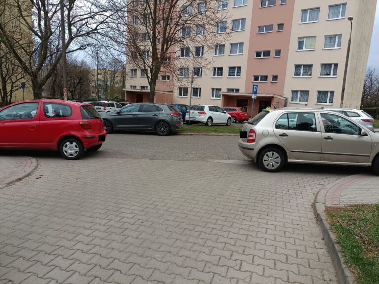 Mistrzowie parkowania [FOTO