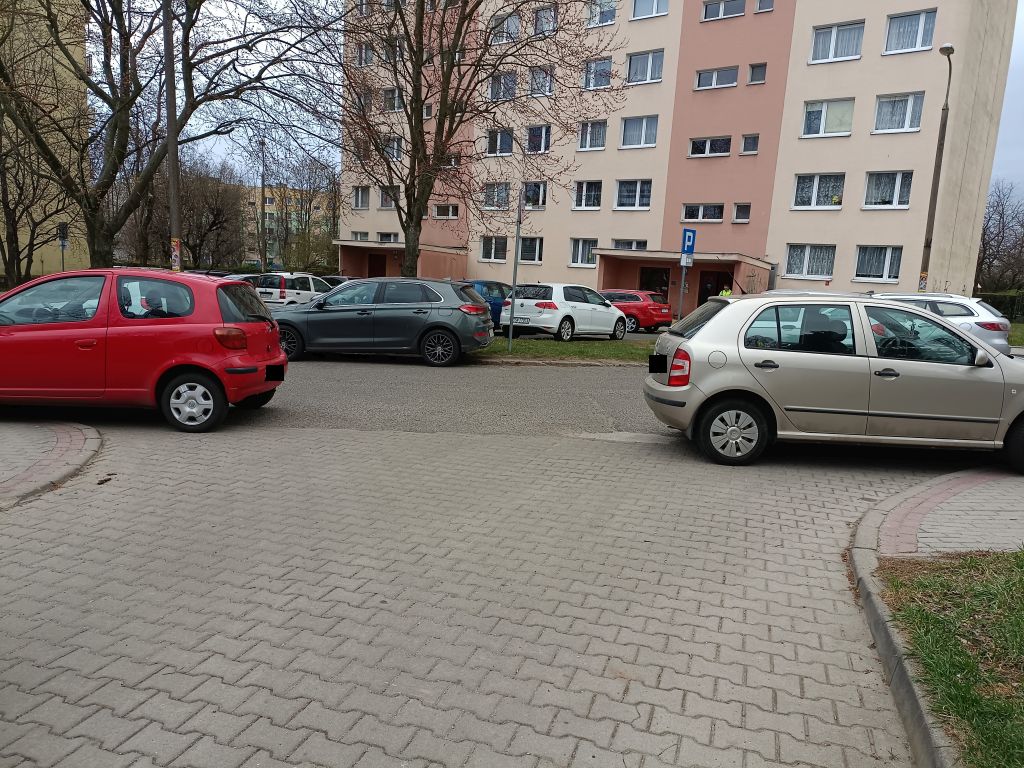 Mistrzowie parkowania [FOTO