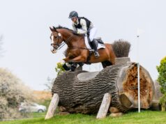 Mocne otwarcie sezonu WKKW 2026 w Strzegomiu