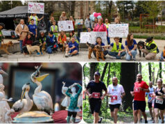 Co? Gdzie? Kiedy? Weekendowy kalendarz wydarzeń