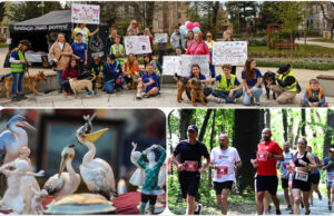 Co? Gdzie? Kiedy? Weekendowy kalendarz wydarzeń