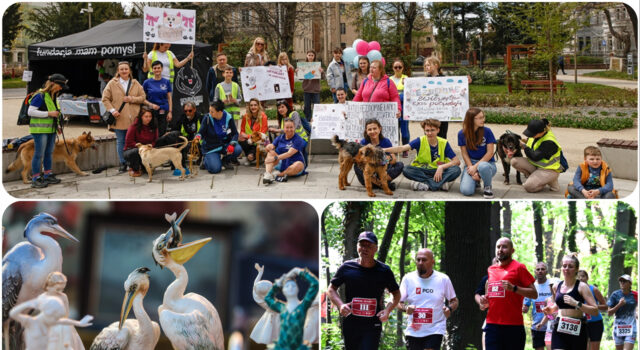 Co? Gdzie? Kiedy? Weekendowy kalendarz wydarzeń