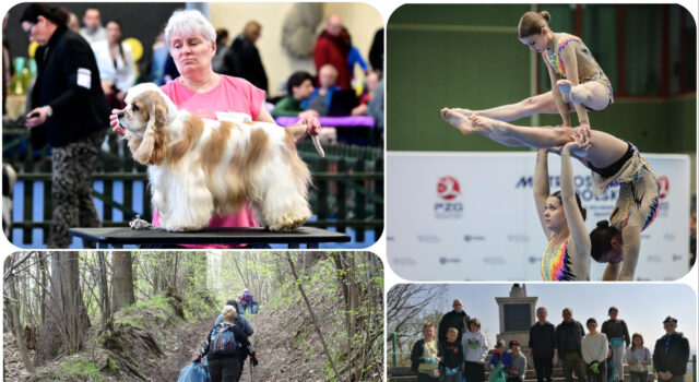 Co? Gdzie? Kiedy? Weekendowy kalendarz wydarzeń