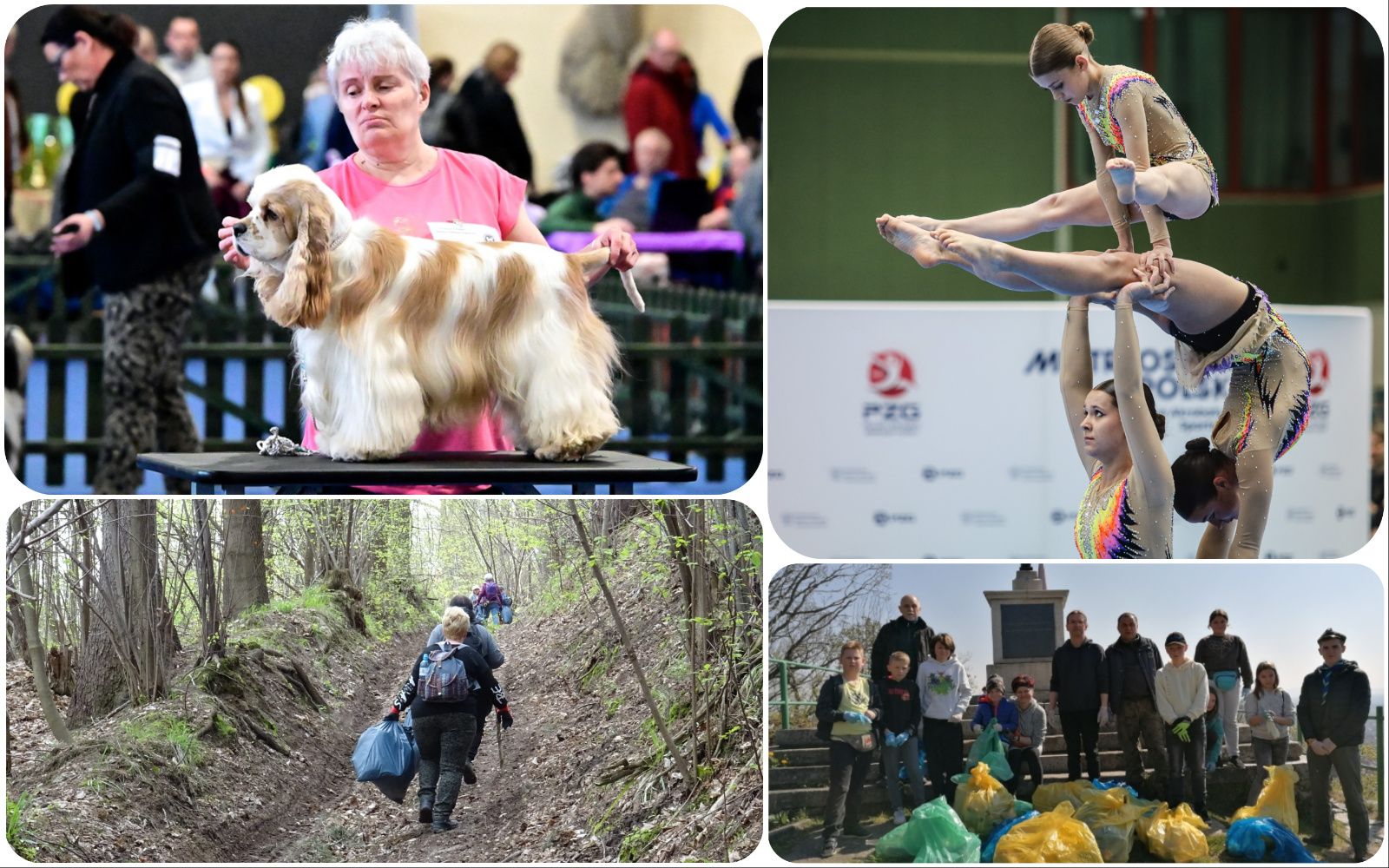 Co? Gdzie? Kiedy? Weekendowy kalendarz wydarzeń