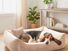 Gdzie kupić legowisko dla psa? Sztruksowe legowisko dla psa MOLLY z e-legowisko.pl
