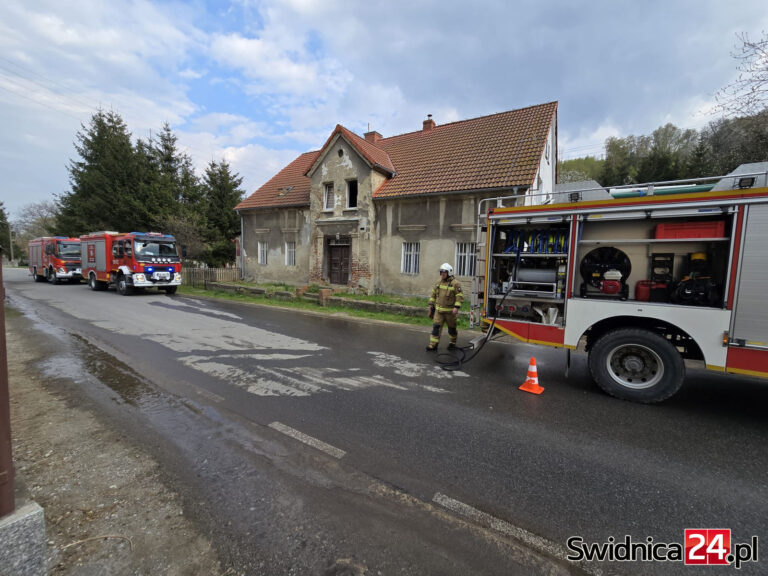 Lutomia Górna. Pożar mieszkania i poddasza w budynku wielorodzinnym [FOTO]