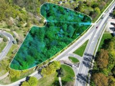 Po co Świdnicy inwestycja za blisko 40 milionów złotych na niewielkim potoku? Jak ma wyglądać?