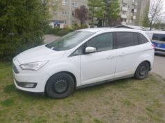 Pies w zoologicznym, mandaty za alkohol i parkowanie. Interwencje straży miejskiej