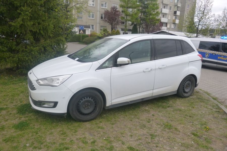 Pies w zoologicznym, mandaty za alkohol i parkowanie. Interwencje straży miejskiej