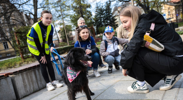 Spacer Bezdomniaka 2026.04.11-41 Spacer Bezdomniaka 2026.04.11-41