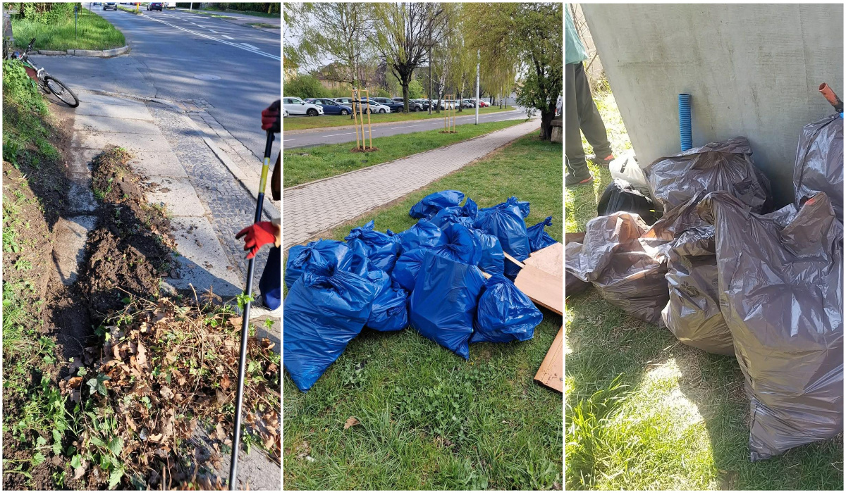 Bezrobotni pomagają sprzątać miasto [FOTO]