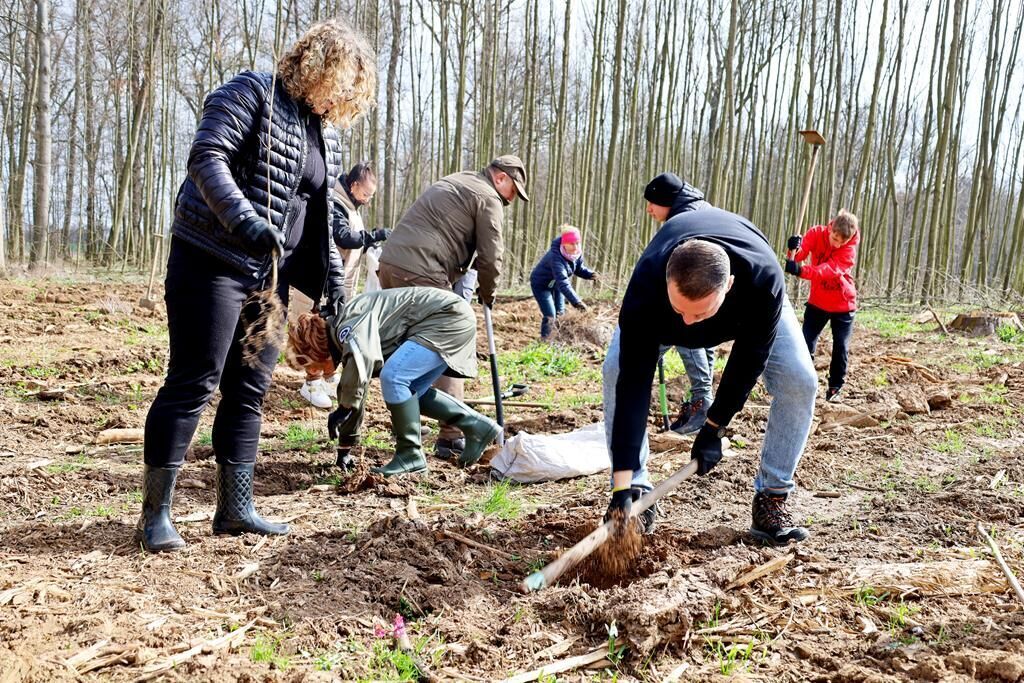 Żarowscy samorządowcy i młodzi strażacy wspólnie ruszyli sadzić drzewa [FOTO]
