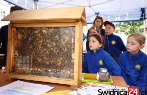 W kwietniu Świdnickie Dni Ziemi