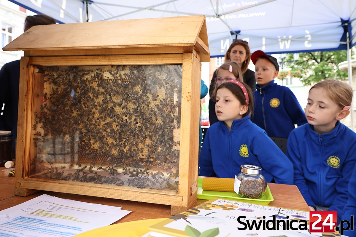 W kwietniu Świdnickie Dni Ziemi