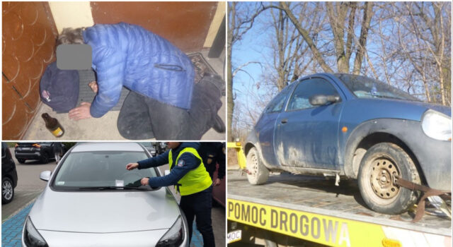 Bezdomny koczujący na klatce schodowej, pies pozostawiony bez opieki, parkowanie na trawniku. Interwencje straży miejskiej