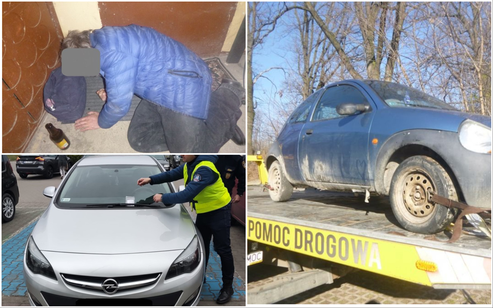 Bezdomny koczujący na klatce schodowej, pies pozostawiony bez opieki, parkowanie na trawniku. Interwencje straży miejskiej