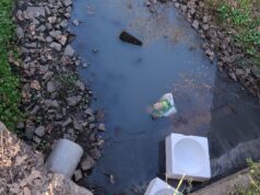 Wapienniczka doczeka się wreszcie ochrony? Potok od lat zalewany jest ściekami komunalnymi