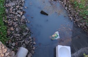 Wapienniczka doczeka się wreszcie ochrony? Potok od lat zalewany jest ściekami komunalnymi