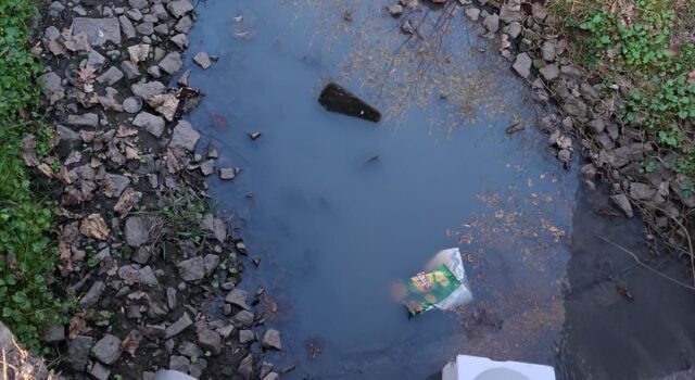 potok Wapienniczka w Świdnicy fekalia (2) potok Wapienniczka w Świdnicy fekalia (2)