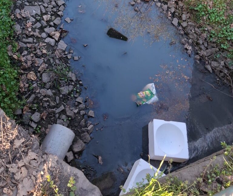 Wapienniczka doczeka się wreszcie ochrony? Potok od lat zalewany jest ściekami komunalnymi