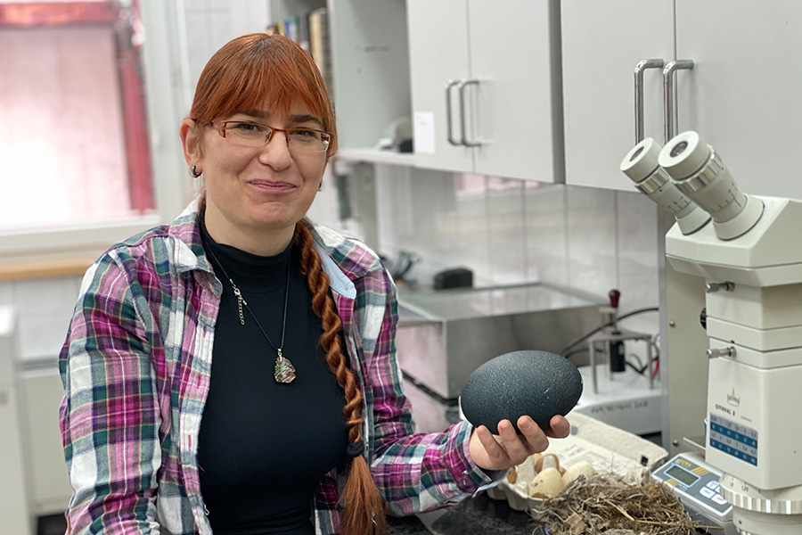 Ekspertka UPWr: Czy kury mogą być szczęśliwe i które jajka są najlepsze?