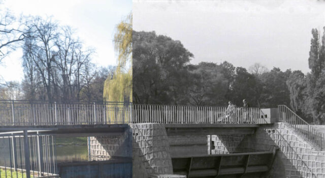 sw_po_45_park_centralny_110_obr_p