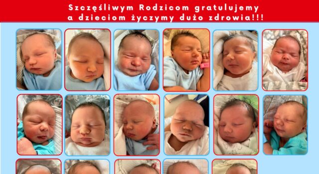 Latawiec urodzenia 2026.04-2