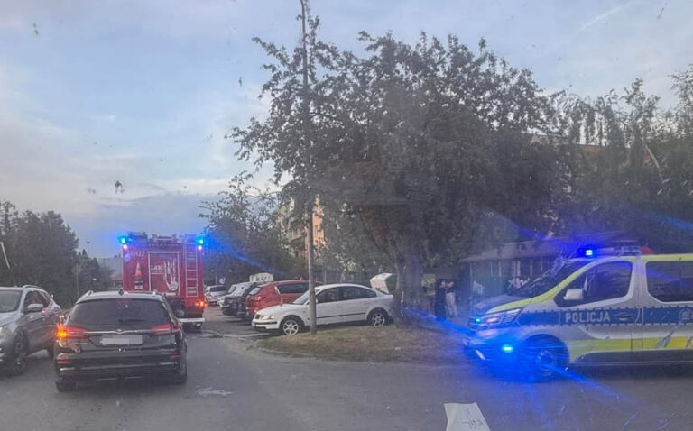 Pożar samochodu na Rolniczej