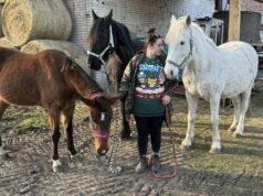 Ratują dzikie i hodowlane zwierzęta. Fundacja Patataj potrzebuje pomocy