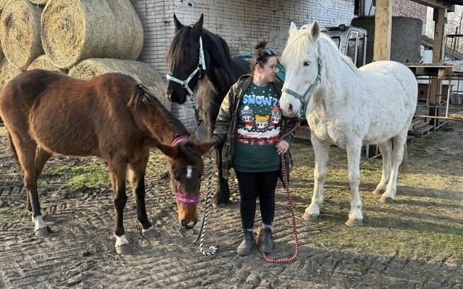Ratują dzikie i hodowlane zwierzęta. Fundacja Patataj potrzebuje pomocy