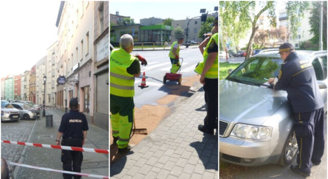 Rozlany olej, nieprawidłowe parkowanie i nietrzeźwa, która spadła ze schodów. Interwencje straży miejskiej