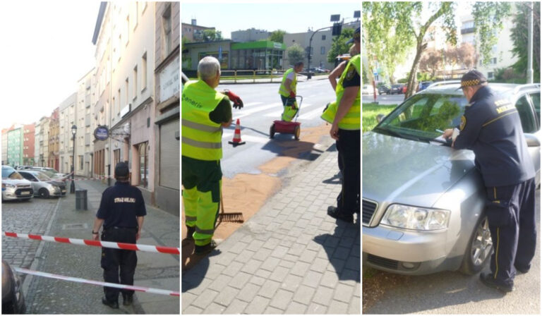 Rozlany olej, nieprawidłowe parkowanie i nietrzeźwa, która spadła ze schodów. Interwencje straży miejskiej