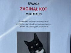 Zaginął kot Miki Maus