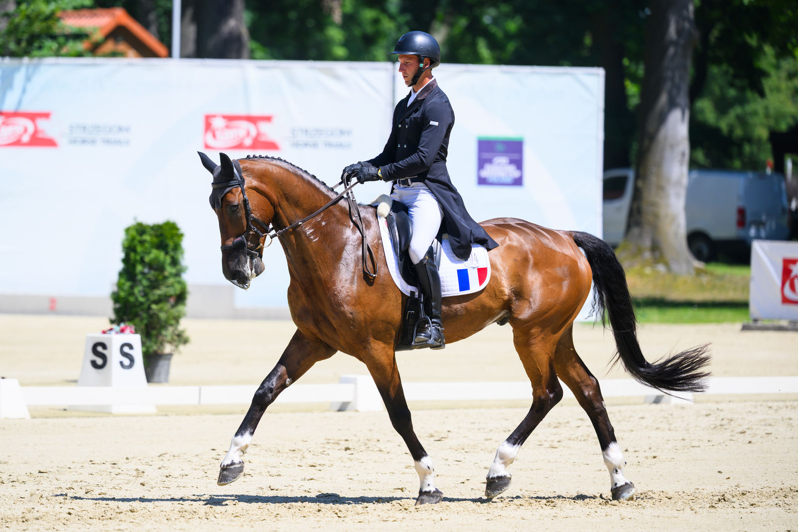 Francuzi na prowadzeniu w Pucharze Narodów LOTTO Strzegom Horse Trials. Sukces Pawła Warszawskiego w Strzegomiu [FOTO]